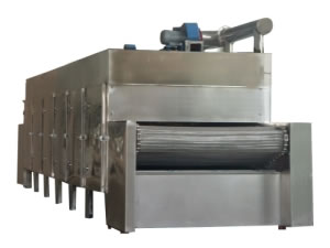 DW Series Conveyor Drier